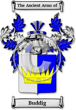 Buddig Family Crest Download (JPG) Legacy Series - 600 DPI