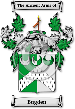 Bugden Family Crest Download (jpg) Legacy Series - 150 DPI