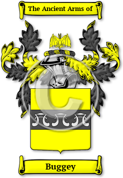 Buggey Family Crest Download (JPG) Legacy Series - 600 DPI