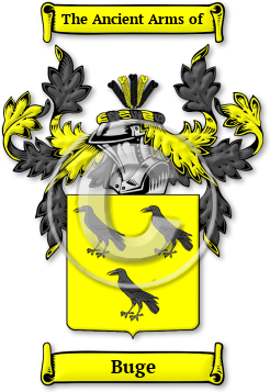 Buge Family Crest Download (jpg) Legacy Series - 150 DPI