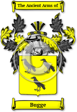 Bugge Family Crest Download (jpg) Legacy Series - 150 DPI