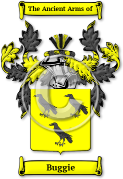 Buggie Family Crest Download (jpg) Legacy Series - 150 DPI