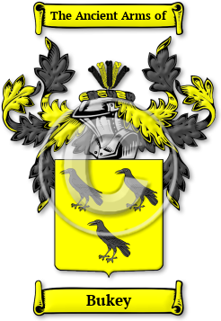 Bukey Family Crest Download (jpg) Legacy Series - 150 DPI