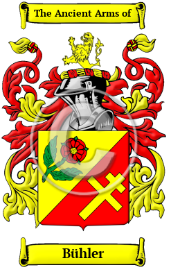 Bühler Family Crest Download (JPG) Heritage Series - 300 DPI