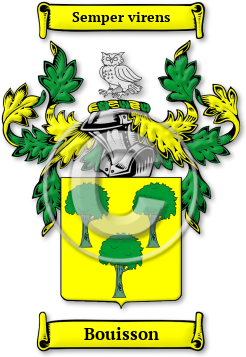Bouisson Family Crest Download (jpg) Legacy Series - 150 DPI