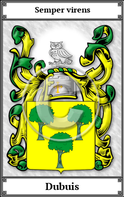 Dubuis Family Crest Download (JPG)  Book Plated - 150 DPI