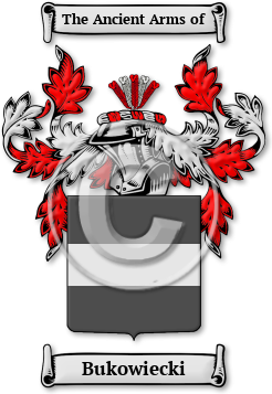 Bukowiecki Family Crest Download (jpg) Legacy Series - 150 DPI