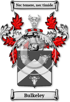 Bulkeley Family Crest Download (jpg) Legacy Series - 150 DPI