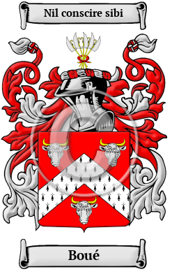 Boué Family Crest/Coat of Arms