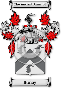 Bunay Family Crest Download (jpg) Legacy Series - 150 DPI