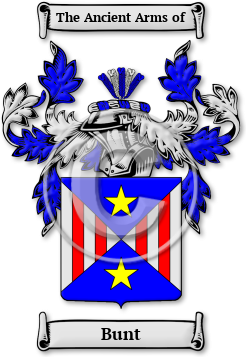 Bunt Family Crest Download (JPG) Legacy Series - 300 DPI