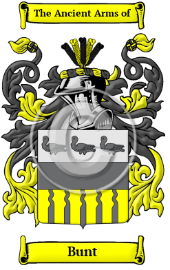 Bunt Family Crest Download (JPG) Heritage Series - 600 DPI