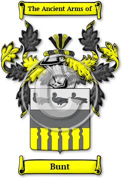 Bunt Family Crest Download (jpg) Legacy Series - 150 DPI