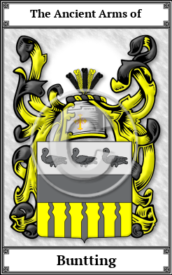 Buntting Family Crest Download (JPG)  Book Plated - 150 DPI