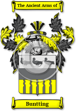 Buntting Family Crest Download (jpg) Legacy Series - 150 DPI
