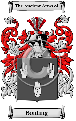 Bonting Family Crest/Coat of Arms