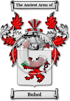 Buhol Family Crest Download (jpg) Legacy Series - 150 DPI
