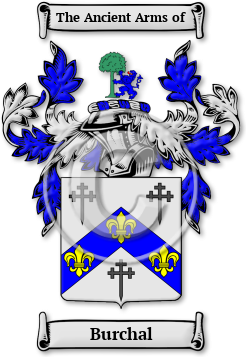 Burchal Family Crest Download (jpg) Legacy Series - 150 DPI