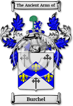 Burchel Family Crest Download (jpg) Legacy Series - 150 DPI