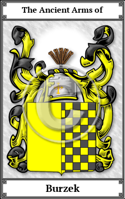 Burzek Family Crest Download (JPG)  Book Plated - 150 DPI