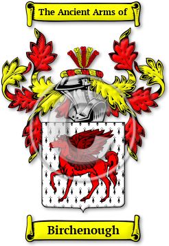 Birchenough Family Crest Download (JPG) Legacy Series - 600 DPI