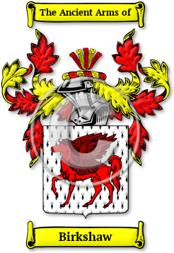 Birkshaw Family Crest Download (jpg) Legacy Series - 150 DPI