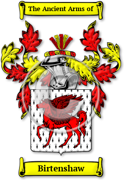Birtenshaw Family Crest Download (jpg) Legacy Series - 150 DPI