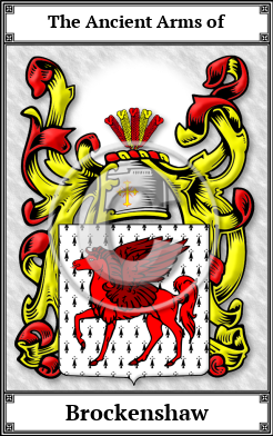 Brockenshaw Family Crest Download (JPG)  Book Plated - 150 DPI