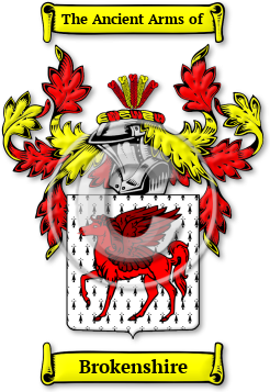 Brokenshire Family Crest Download (jpg) Legacy Series - 150 DPI