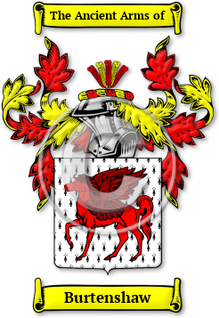 Burtenshaw Family Crest Download (jpg) Legacy Series - 150 DPI