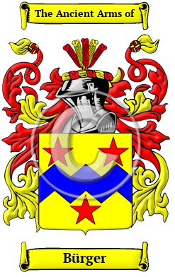 Bürger Family Crest Download (JPG) Heritage Series - 300 DPI