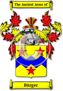 Bürger Family Crest Download (jpg) Legacy Series - 150 DPI