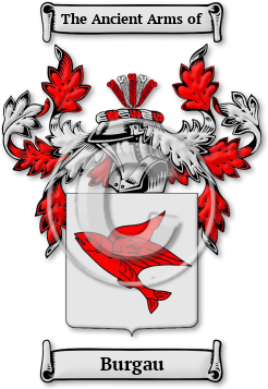 Burgau Family Crest Download (jpg) Legacy Series - 150 DPI