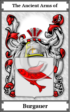 Burgauer Family Crest Download (JPG)  Book Plated - 150 DPI