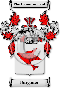 Burgauer Family Crest Download (jpg) Legacy Series - 150 DPI
