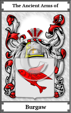 Burgaw Family Crest Download (JPG) Book Plated - 600 DPI