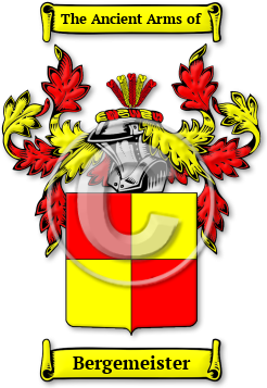 Bergemeister Family Crest Download (jpg) Legacy Series - 150 DPI