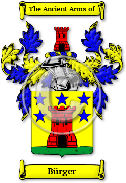 Bürger Family Crest Download (jpg) Legacy Series - 150 DPI