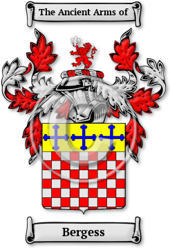 Bergess Family Crest Download (JPG) Legacy Series - 600 DPI