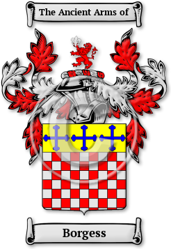 Borgess Family Crest Download (jpg) Legacy Series - 150 DPI