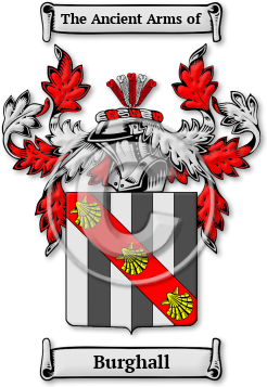 Burghall Family Crest Download (jpg) Legacy Series - 150 DPI