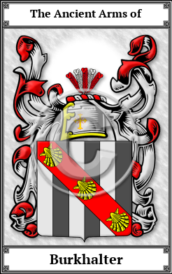 Burkhalter Family Crest Download (JPG)  Book Plated - 150 DPI