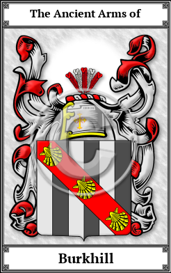 Burkhill Family Crest Download (JPG) Book Plated - 600 DPI