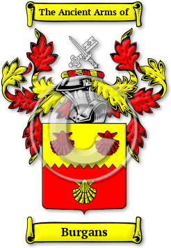 Burgans Family Crest Download (jpg) Legacy Series - 150 DPI