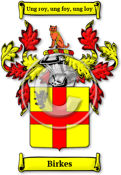 Birkes Family Crest Download (jpg) Legacy Series - 150 DPI