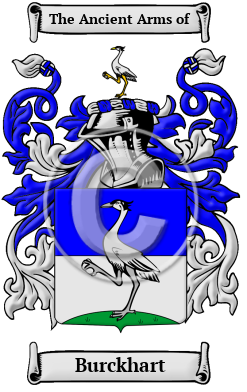 Burckhart Family Crest/Coat of Arms