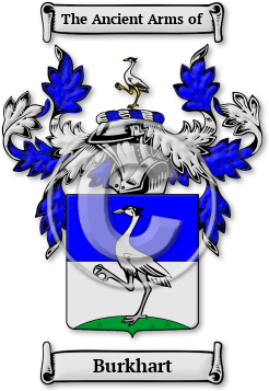Burkhart Family Crest Download (jpg) Legacy Series - 150 DPI