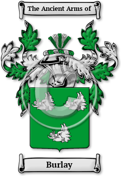 Burlay Family Crest Download (jpg) Legacy Series - 150 DPI