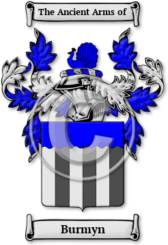 Burmyn Family Crest Download (jpg) Legacy Series - 150 DPI