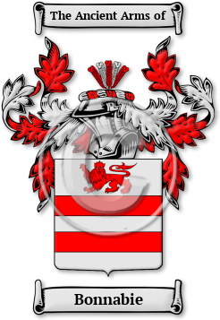 Bonnabie Family Crest Download (jpg) Legacy Series - 150 DPI